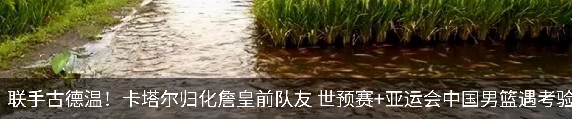 资讯中心